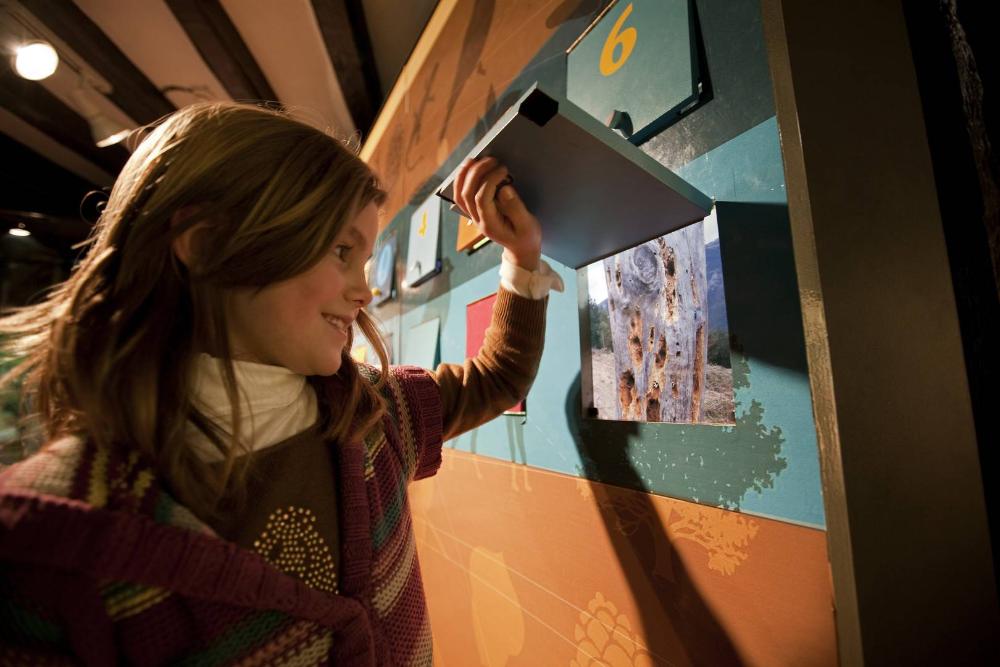 Niña en el Centro de Interpretación de la Naturaleza de Bertiz